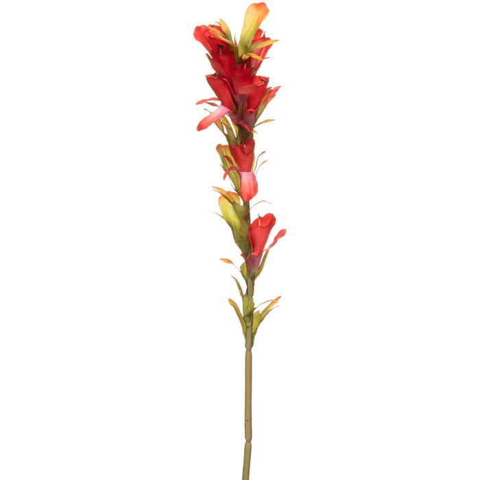 18" Indian Paintbrush Silk Flower Stem -Red (Pack of 12) - FSI507-RE