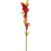 18" Indian Paintbrush Silk Flower Stem -Red (Pack of 12) - FSI507-RE
