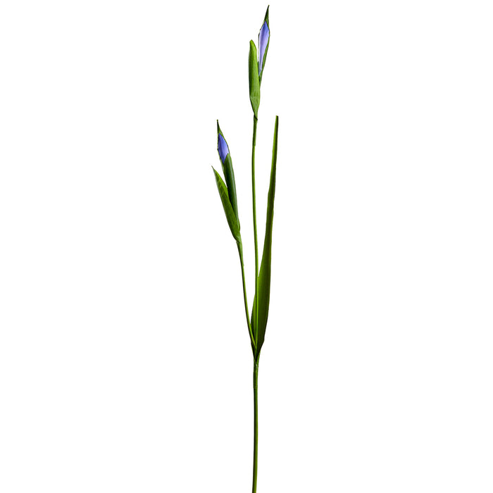31" Silk Iris Bud Flower Stem -Helio (pack of 12) - FSI508-HE