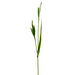 31" Silk Iris Bud Flower Stem -White (pack of 12) - FSI508-WH
