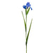 30" Silk Iris Flower Stem -Helio (pack of 12) - FSI509-HE
