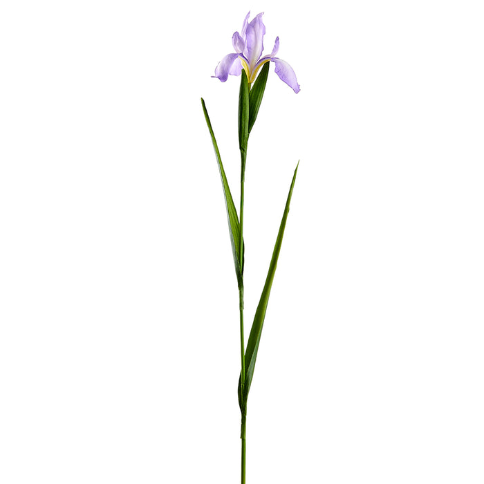 30" Silk Iris Flower Stem -Lavender (pack of 12) - FSI509-LV