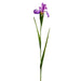 30" Silk Iris Flower Stem -Purple (pack of 12) - FSI509-PU