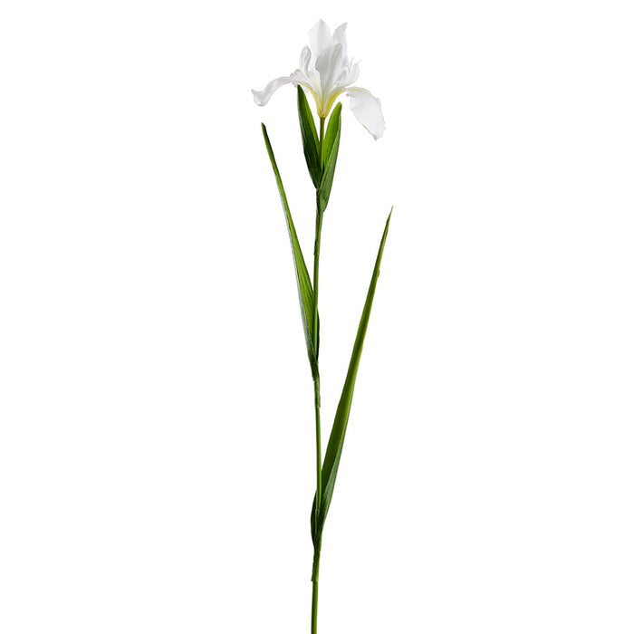 30" Silk Iris Flower Stem -White (pack of 12) - FSI509-WH
