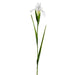 30" Silk Iris Flower Stem -White (pack of 12) - FSI509-WH