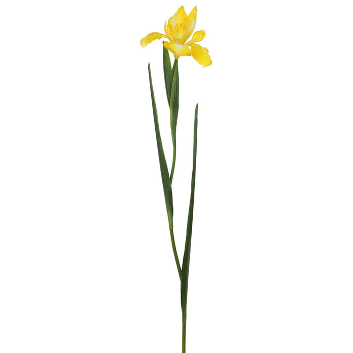 30" Silk Iris Flower Stem -Yellow (pack of 12) - FSI509-YE
