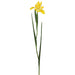 30" Silk Iris Flower Stem -Yellow (pack of 12) - FSI509-YE