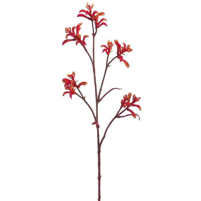 30" Silk Kangaroo Paw Flower Spray -Orange/Red (pack of 12) - FSK081-OR/RE