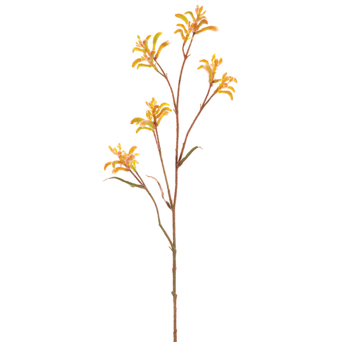 30" Silk Kangaroo Paw Flower Spray -Yellow/Brown (pack of 12) - FSK081-YE/BR