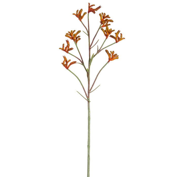 28" Artificial Kangaroo Paw Flower Stem -Orange/Rust (pack of 12) - FSK082-OR/RU