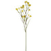 45" Artificial Kangaroo Paw Flower Stem -Yellow (pack of 12) - FSK083-YE