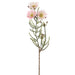 24" Silk Blooming Kaaps Green Flower Spray -Pink/Cream (pack of 12) - FSK547-PK/CR