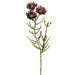 24" Silk Blooming Kaaps Green Flower Spray -Purple (pack of 12) - FSK547-PU