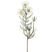 24" Silk Blooming Kaaps Green Flower Spray -White (pack of 12) - FSK547-WH