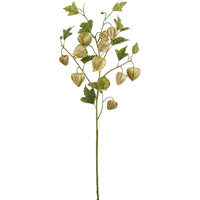 31.5" Artificial Chinese Lantern Flower Stem -Green (Pack of 12) - FSL008-GR