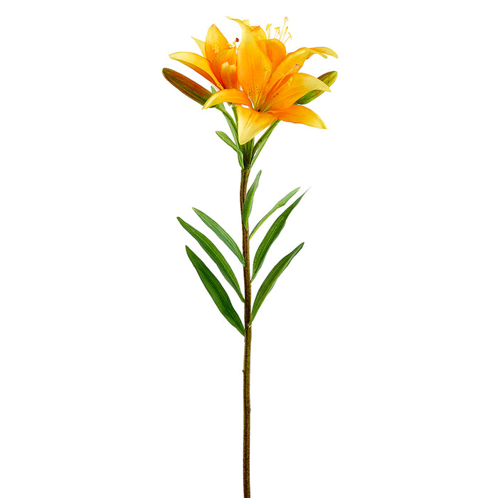 25" Silk Asian Lily Flower Stem -Orange (pack of 12) - FSL071-OR