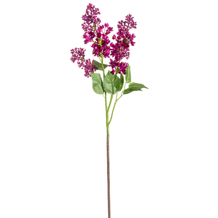 34.5" Silk Lilac Flower Stem -Beauty (pack of 12) - FSL099-BT