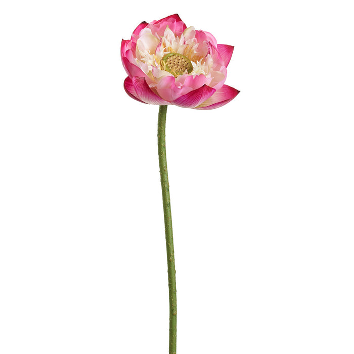 26" Real Touch Lotus Silk Flower Stem -Beauty (pack of 12) - FSL107-BT