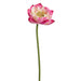 26" Real Touch Lotus Silk Flower Stem -Beauty (pack of 12) - FSL107-BT