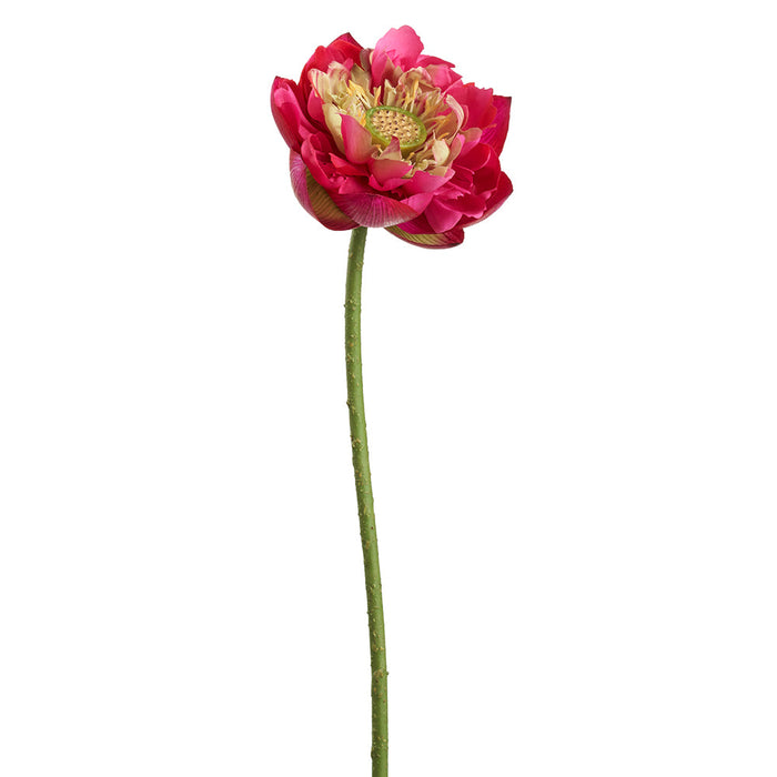 26" Real Touch Lotus Silk Flower Stem -Red/Beauty (pack of 12) - FSL107-RE/BT