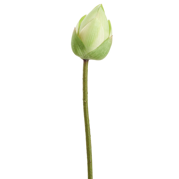26" Real Touch Lotus Bud Silk Flower Stem -Green (pack of 12) - FSL108-GR