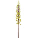37" Pineapple Lily Silk Flower Stem -Green (Pack of 6) - FSL114-GR