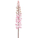 37" Pineapple Lily Silk Flower Stem -Pink (Pack of 6) - FSL114-PK