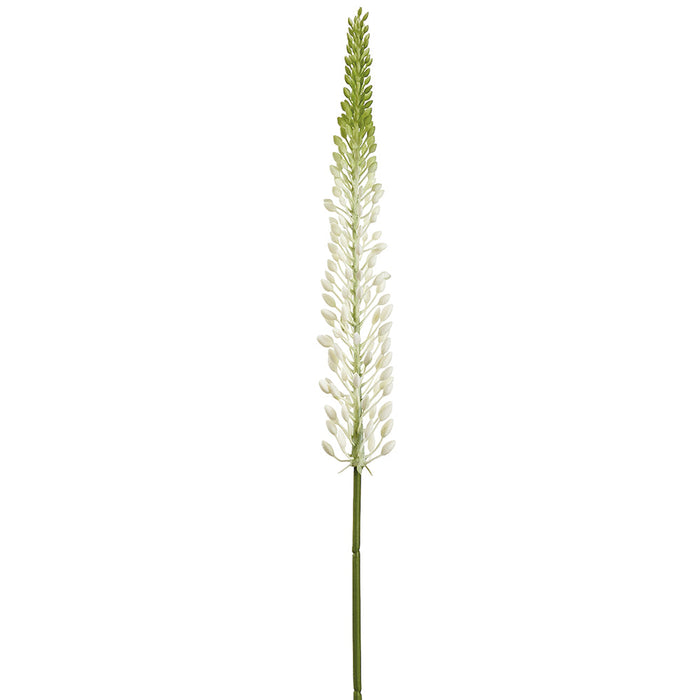 29.5" Eremurus Foxtail Lily Silk Flower Stem -Cream/Green (Pack of 12) - FSL168-CR/GR