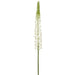 29.5" Eremurus Foxtail Lily Silk Flower Stem -Cream/Green (Pack of 12) - FSL168-CR/GR