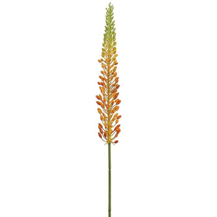 29.5" Eremurus Foxtail Lily Silk Flower Stem -Orange/Green (Pack of 12) - FSL168-OR/GR