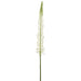 44" Eremurus Foxtail Lily Faux Flower Stem -Cream/Green (Pack of 12) - FSL169-CR/GR