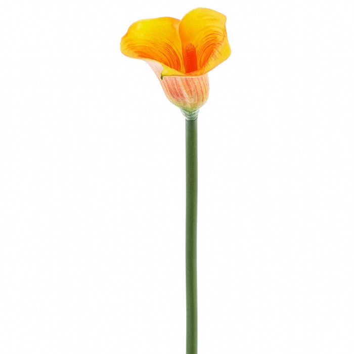 23" Real Touch Calla Lily Silk Flower Stem -Apricot (Pack of 12) - FSL220-AP