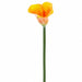 23" Real Touch Calla Lily Silk Flower Stem -Apricot (Pack of 12) - FSL220-AP
