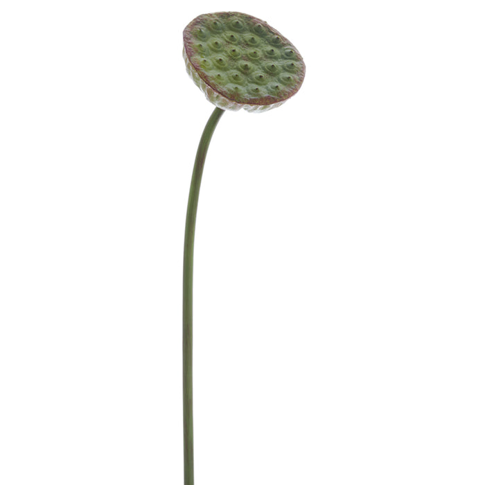 29.5" Silk Lotus Pod Flower Spray -Green (pack of 12) - FSL223-GR