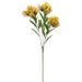 24" Silk Lion's Tail Flower Stem -Yellow (pack of 12) - FSL240-YE