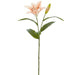 29" Real Touch Casablanca Lily Silk Flower Stem -Peach (Pack of 6) - FSL280-PE