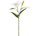 29" Real Touch Casablanca Lily Silk Flower Stem -White (Pack of 6) - FSL280-WH