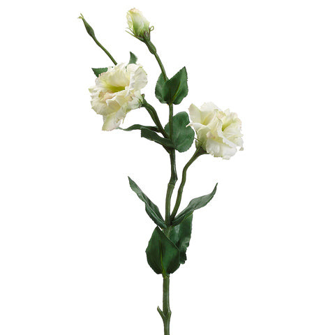 25" Silk Lisianthus Flower Spray -Green (pack of 12) - FSL316-GR