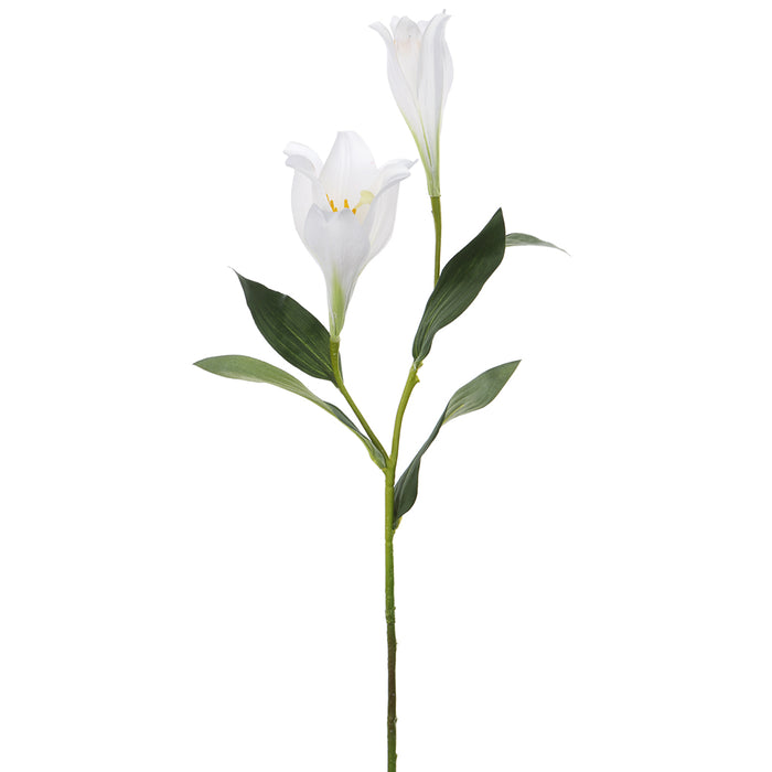 cream lily flower 36.5" Silk Lily Flower Stem -Cream (Pack of 12)
