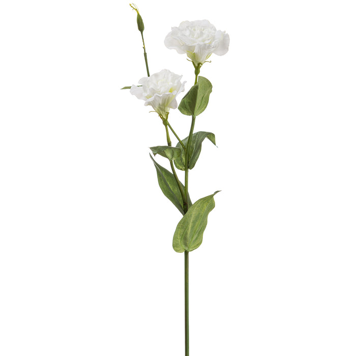 28" Silk Lisianthus Flower Stem -White (pack of 12) - FSL371-WH
