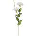 28" Silk Lisianthus Flower Stem -White (pack of 12) - FSL371-WH