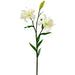 34" Silk Stargazer Lily Flower Stem -Cream (pack of 6) - FSL632-CR