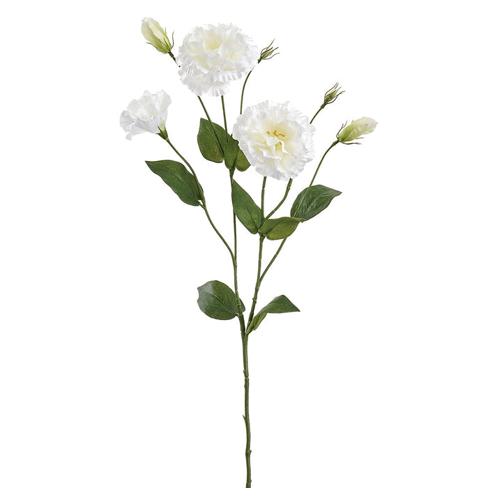 30" Lisianthus Silk Flower Stem -Cream (Pack of 12) - FSL987-CR