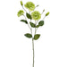 30" Lisianthus Silk Flower Stem -Green (Pack of 12) - FSL987-GR