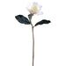 27.5" Silk Magnolia Flower Stem -Cream (pack of 12) - FSM005-CR
