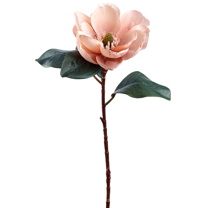 29" Harvest Magnolia Silk Flower Stem -Dark Cream (pack of 12) - FSM006-CR/DK