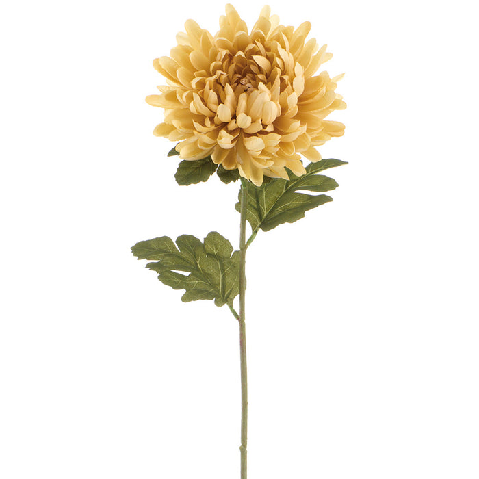 31" Mum Silk Flower Stem -Beige (Pack of 12) - FSM029-BE
