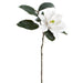 32" Magnolia Silk Flower Stem -White (Pack of 6) - FSM039-WH
