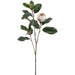 42" Magnolia Silk Flower Stem -Beige/Taupe (Pack of 6) - FSM070-BE/TP