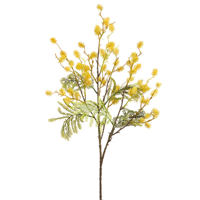 30" Wild Momosa Silk Flower Stem -Yellow (pack of 12) - FSM090-YE